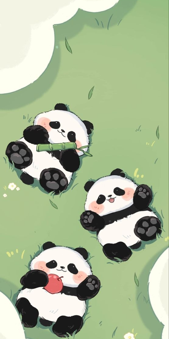 cute panda backgrounds 0019