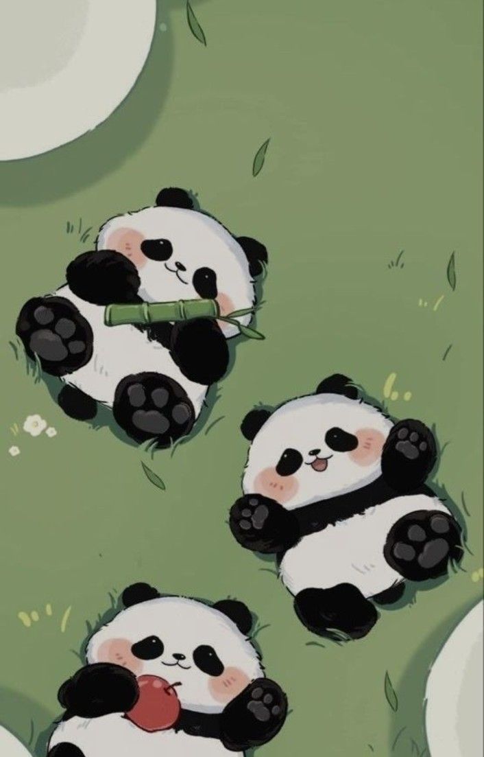 cute panda backgrounds 0028