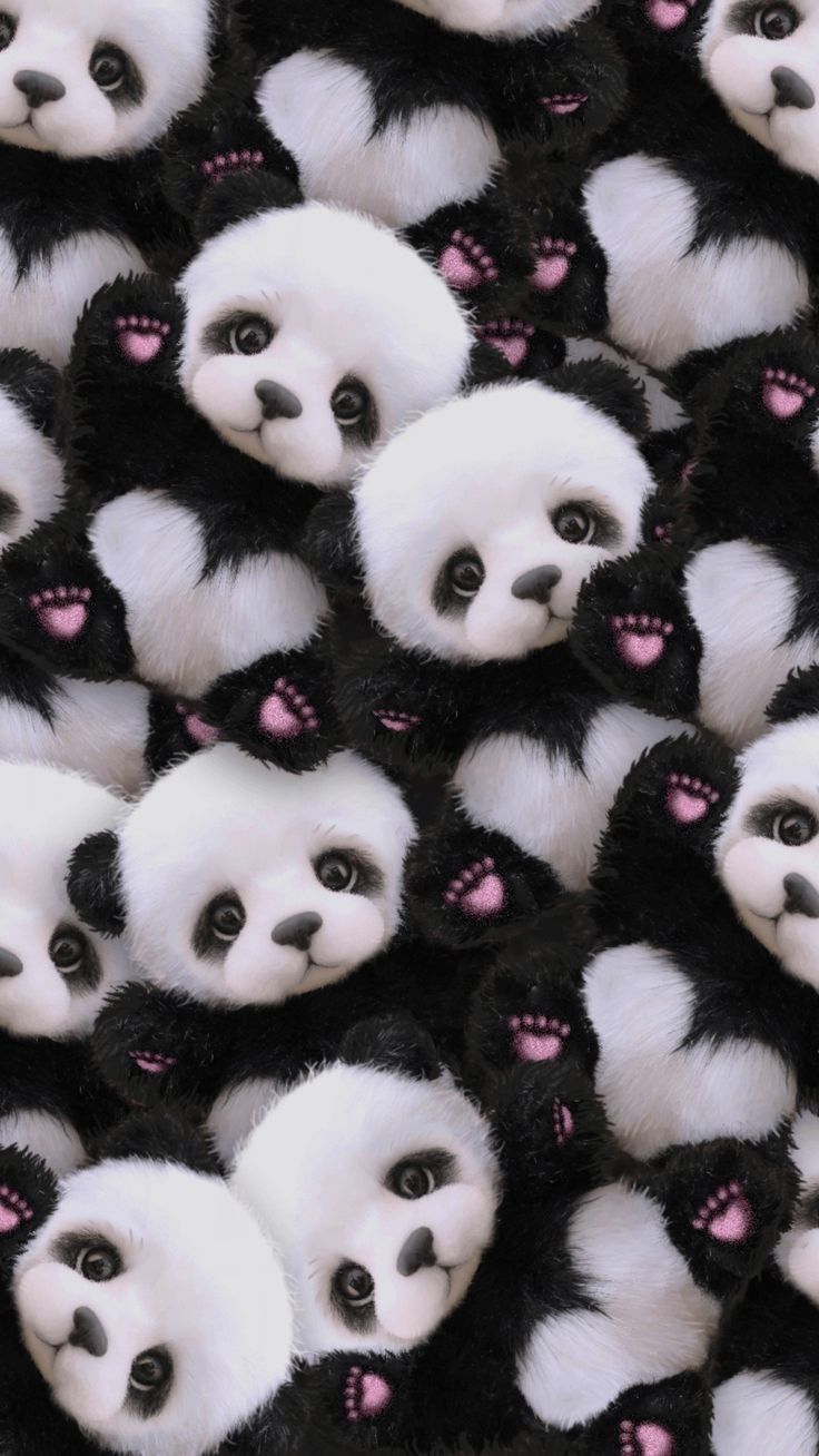 cute panda backgrounds 0037