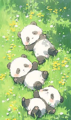 cute panda backgrounds 0060