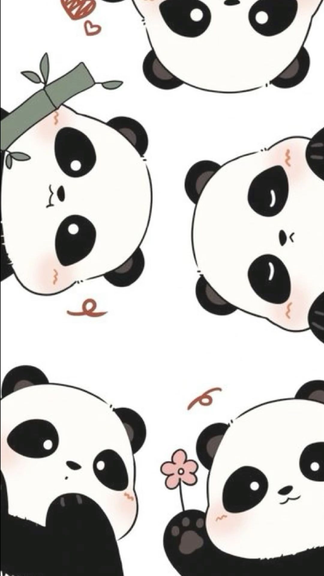 cute panda backgrounds 0062