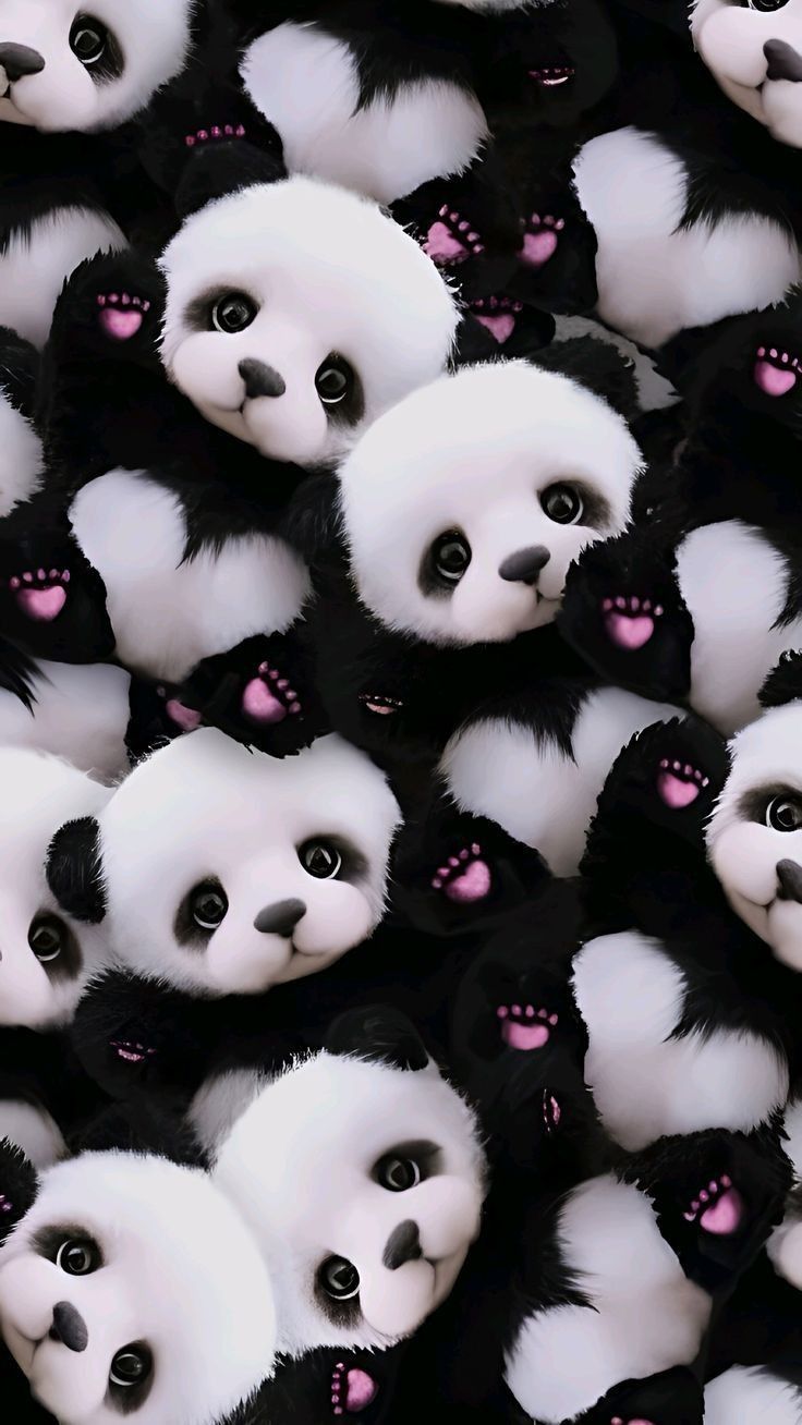 cute panda backgrounds 0064