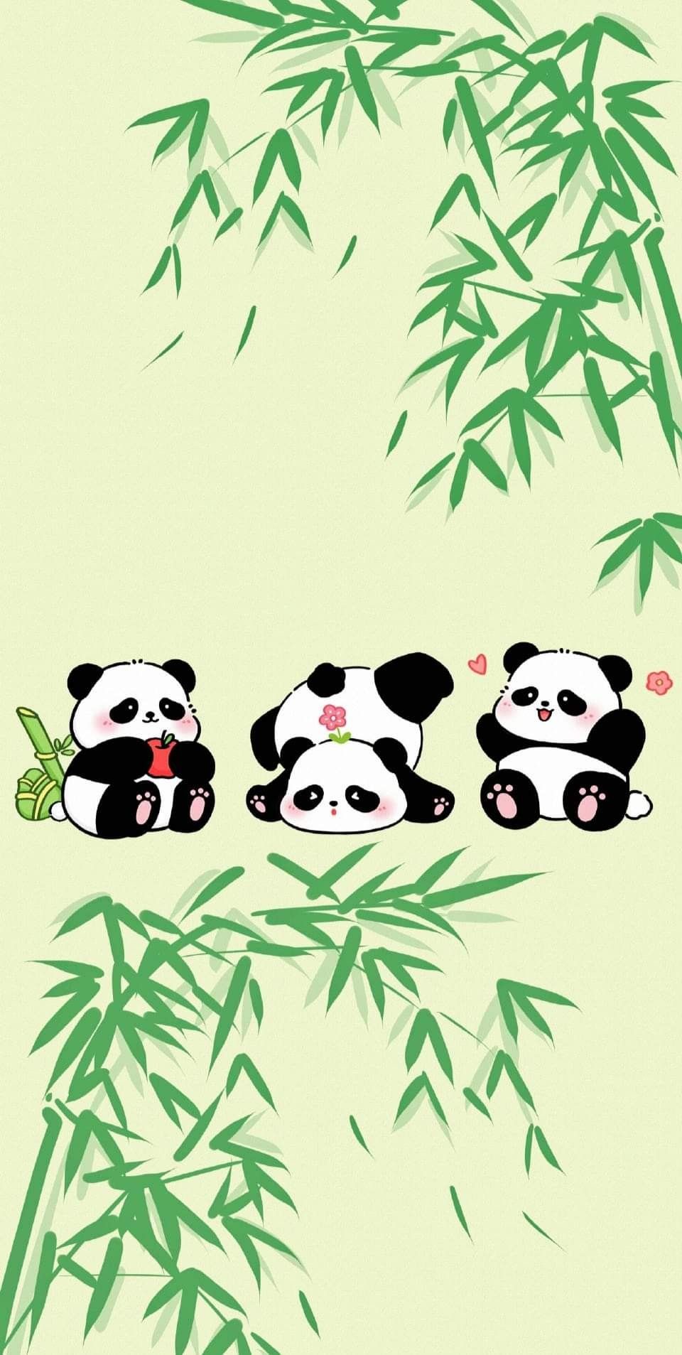 cute panda backgrounds 0091