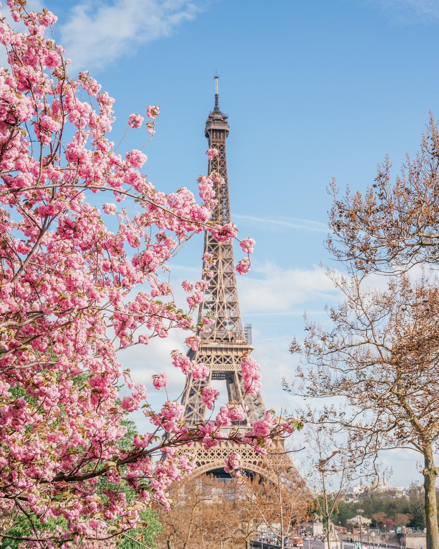 cute Paris backgrounds 0041