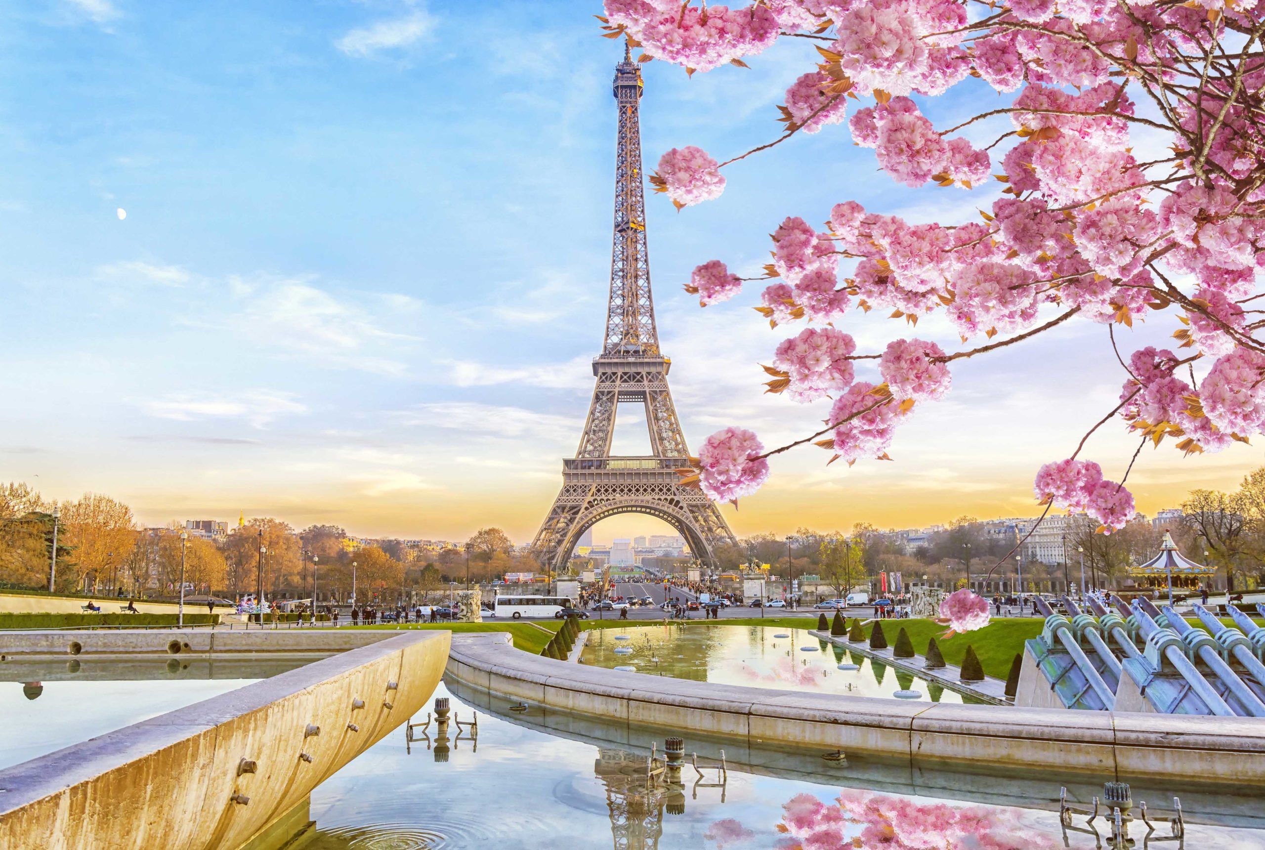 cute Paris backgrounds 0098