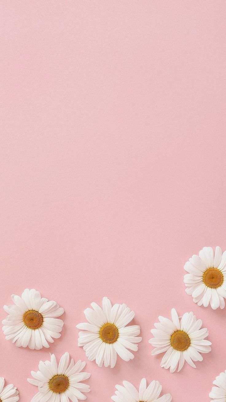 cute pastel pink backgrounds 0042