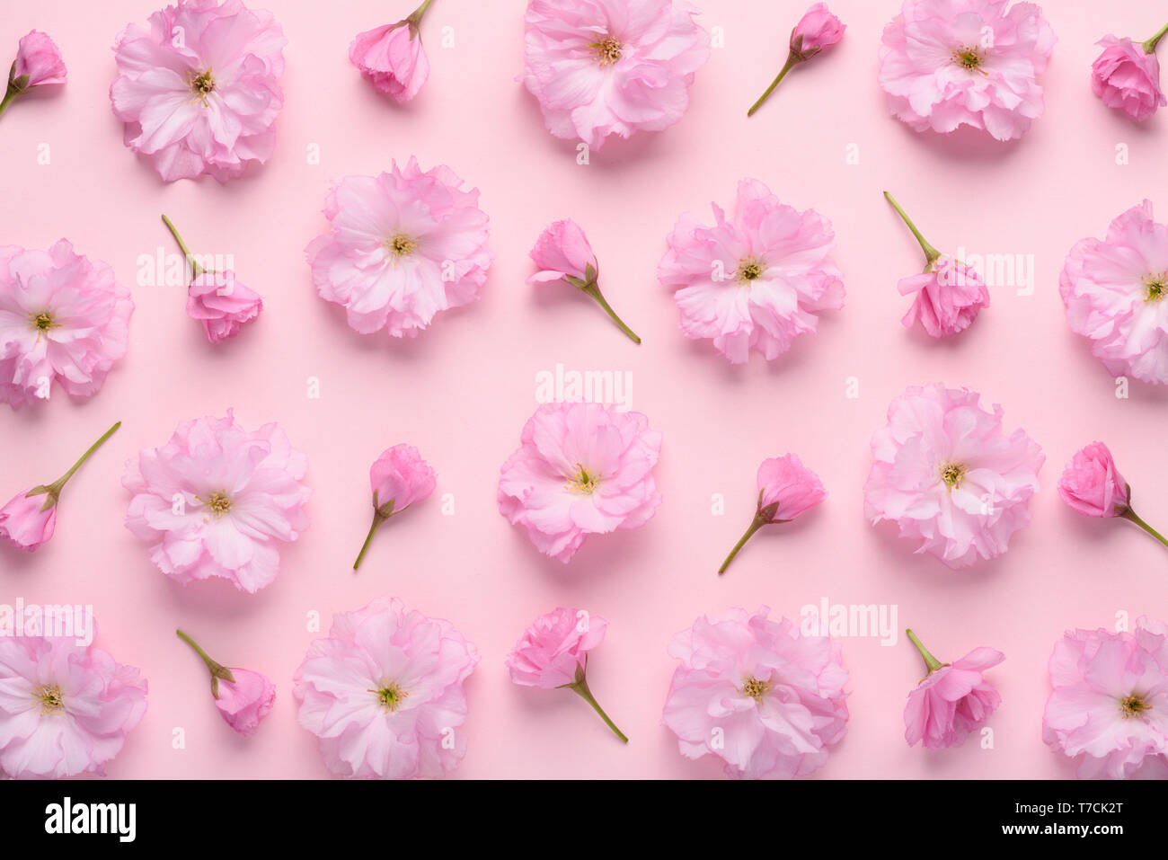 cute pastel pink backgrounds 0090