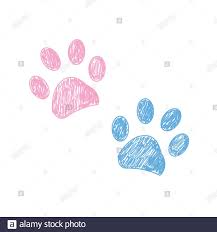 cute paw print backgrounds 0021