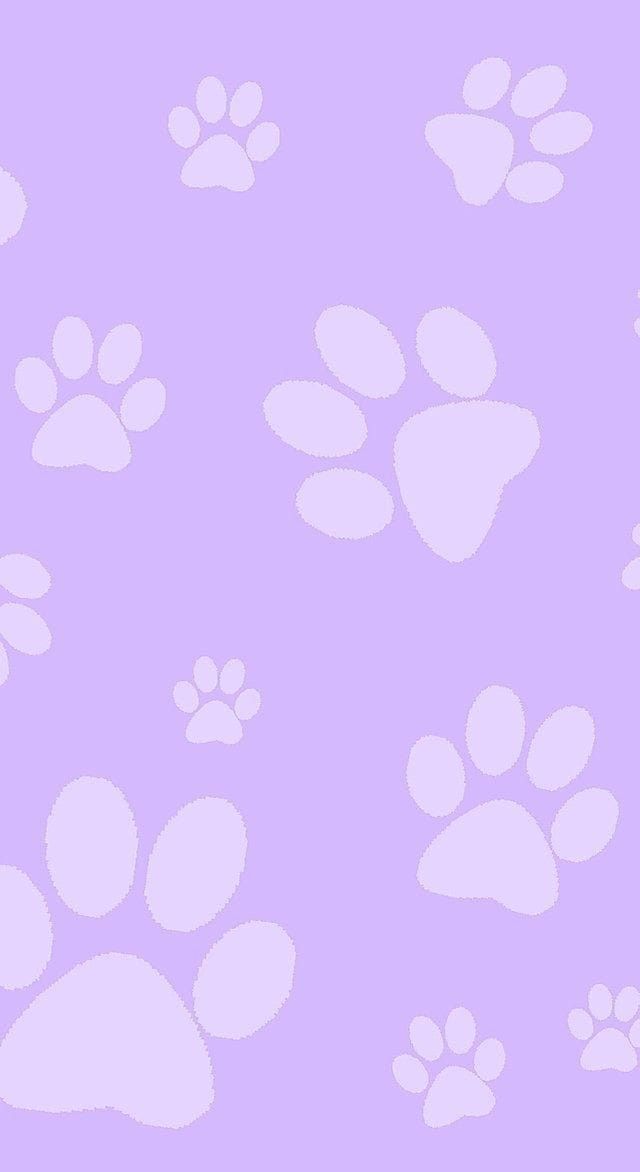 cute paw print backgrounds 0026