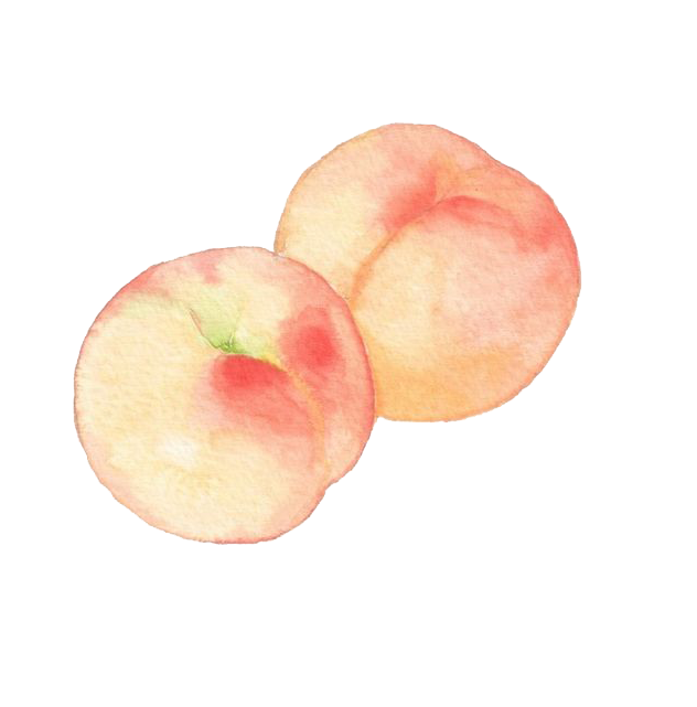 cute peach fruit background 0011