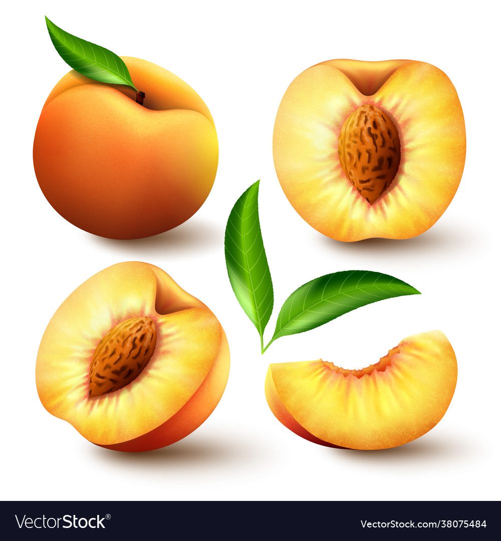 cute peach fruit background 0031