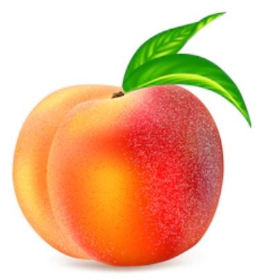 cute peach fruit background 0034