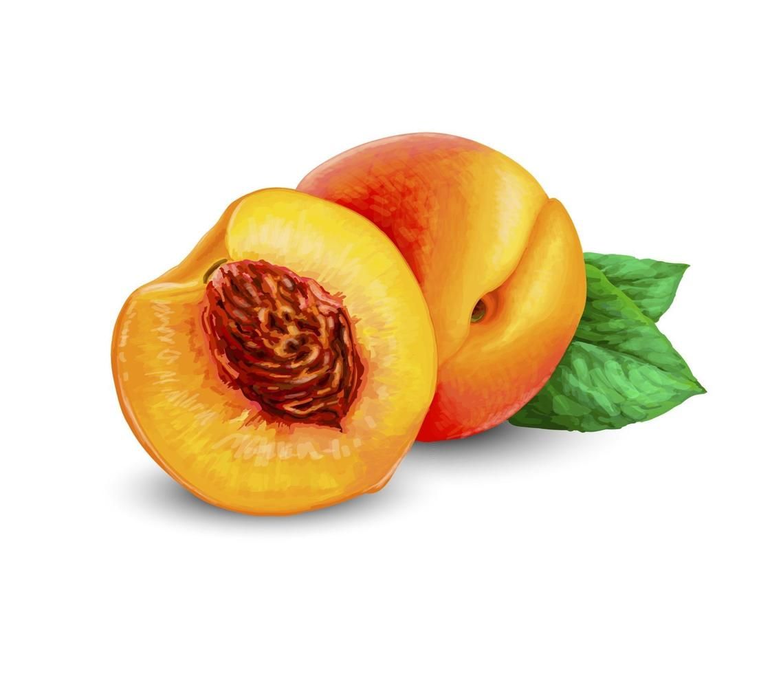 cute peach fruit background 0046