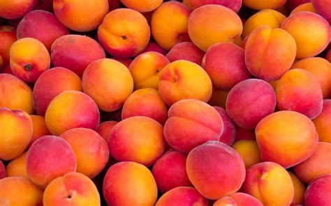 cute peach fruit background 0054