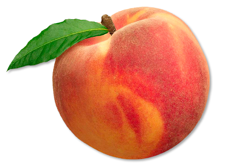 cute peach fruit background 0062