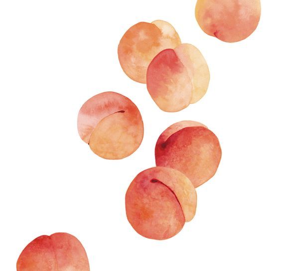 cute peach fruit background 0063