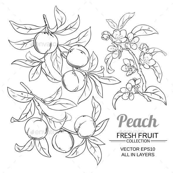 cute peach fruit background 0087