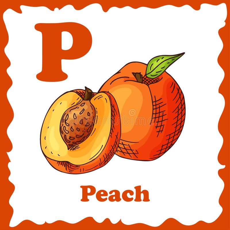 cute peach fruit background 0097