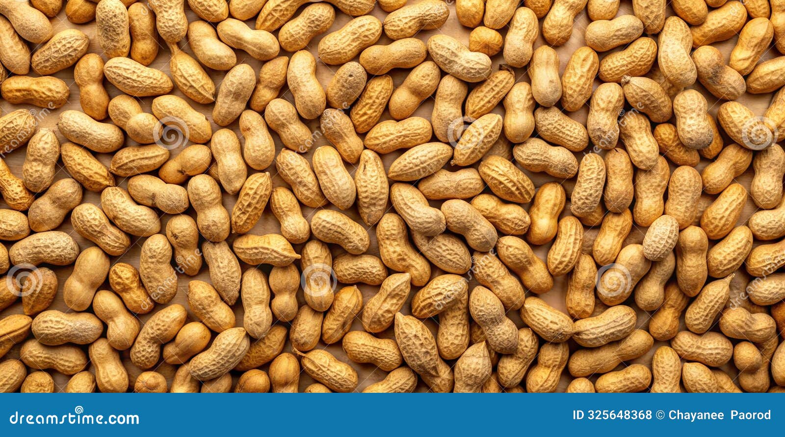 cute peanut background 0073