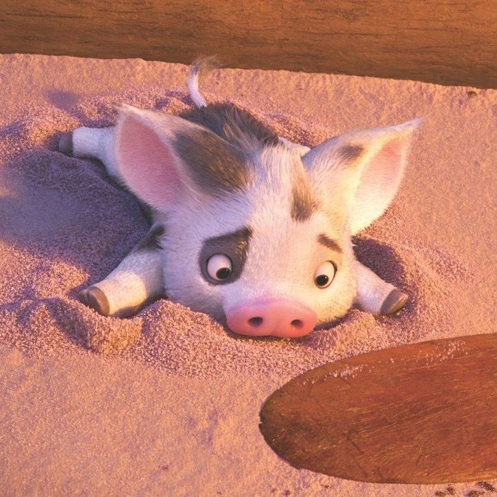 cute pig backgrounds 0024