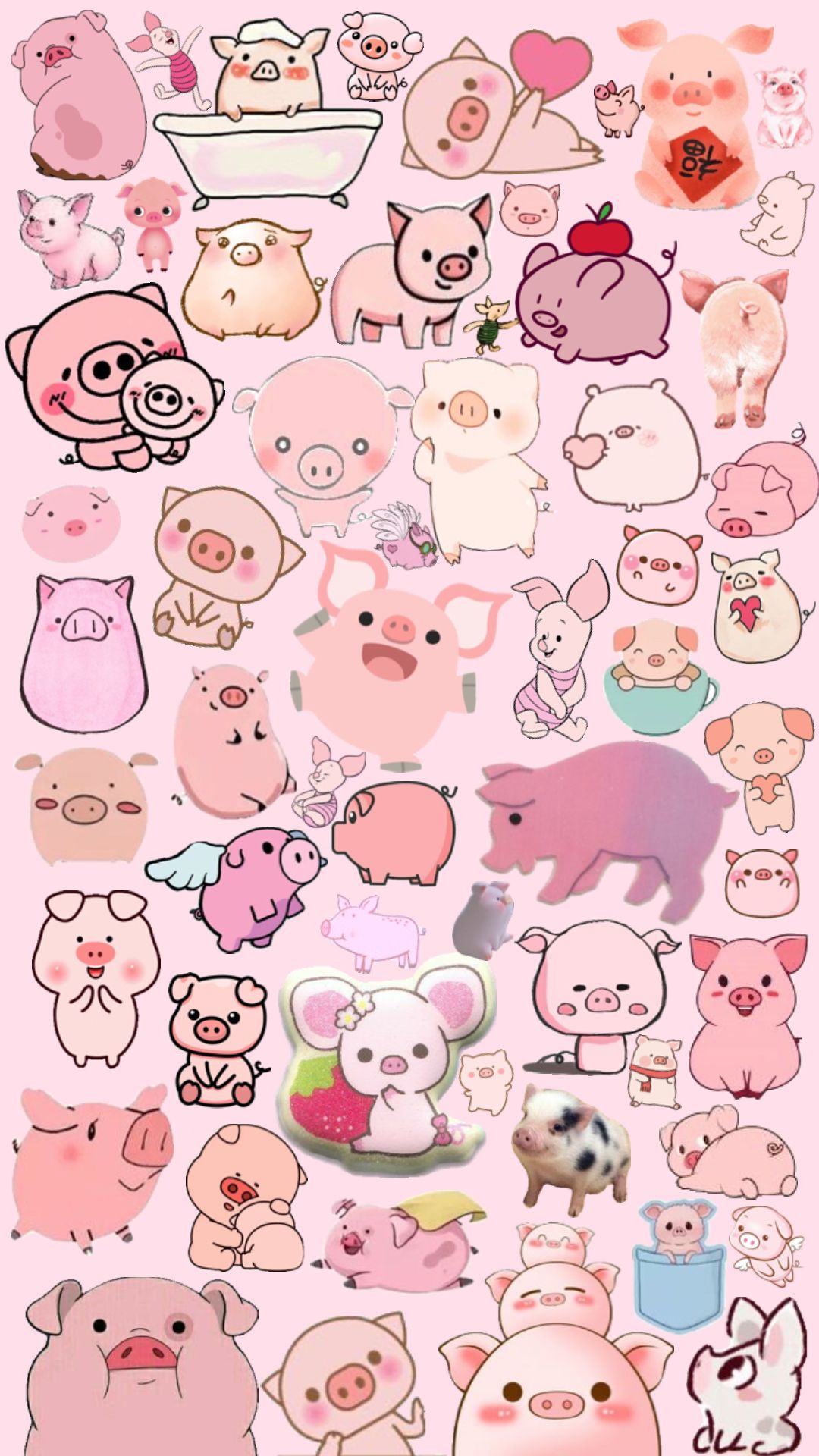 cute pig backgrounds 0056