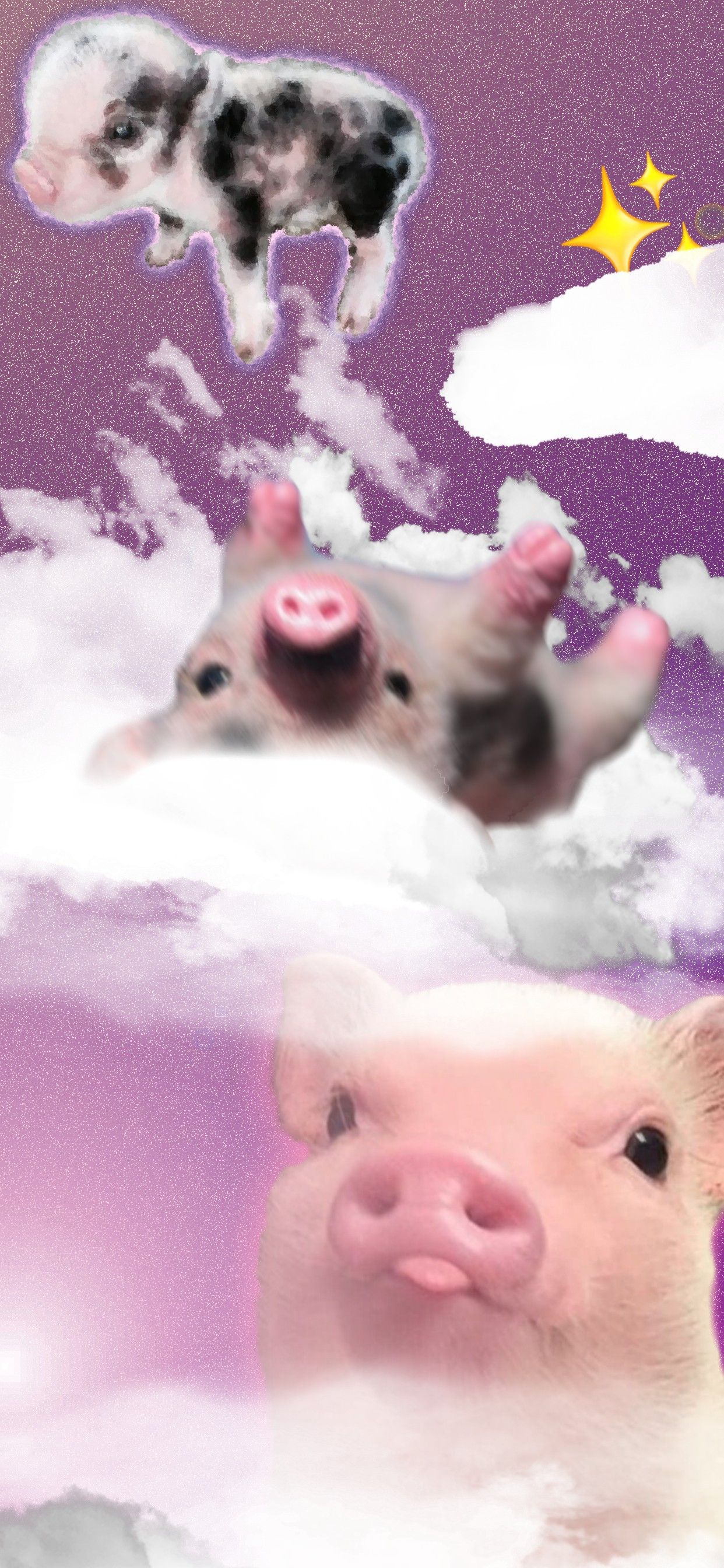 cute pig backgrounds 0087