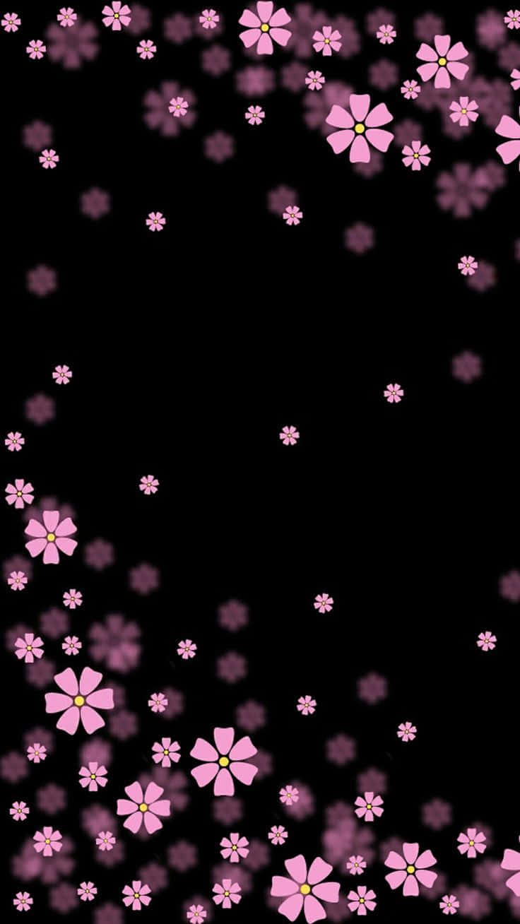 cute pink and black backgrounds 0043