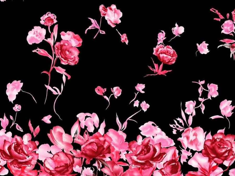 cute pink and black backgrounds 0062