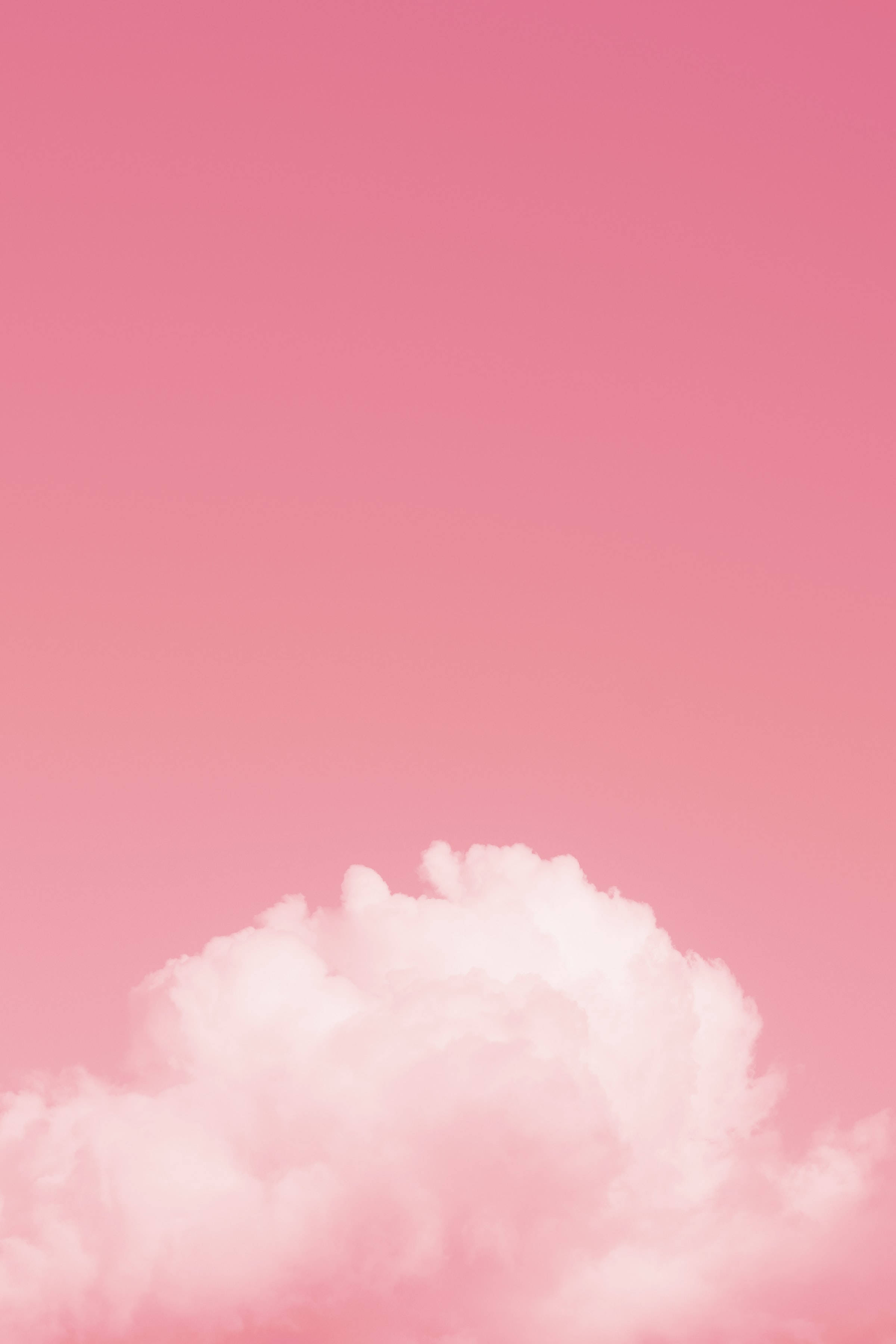 cute pink and white backgrounds 0035