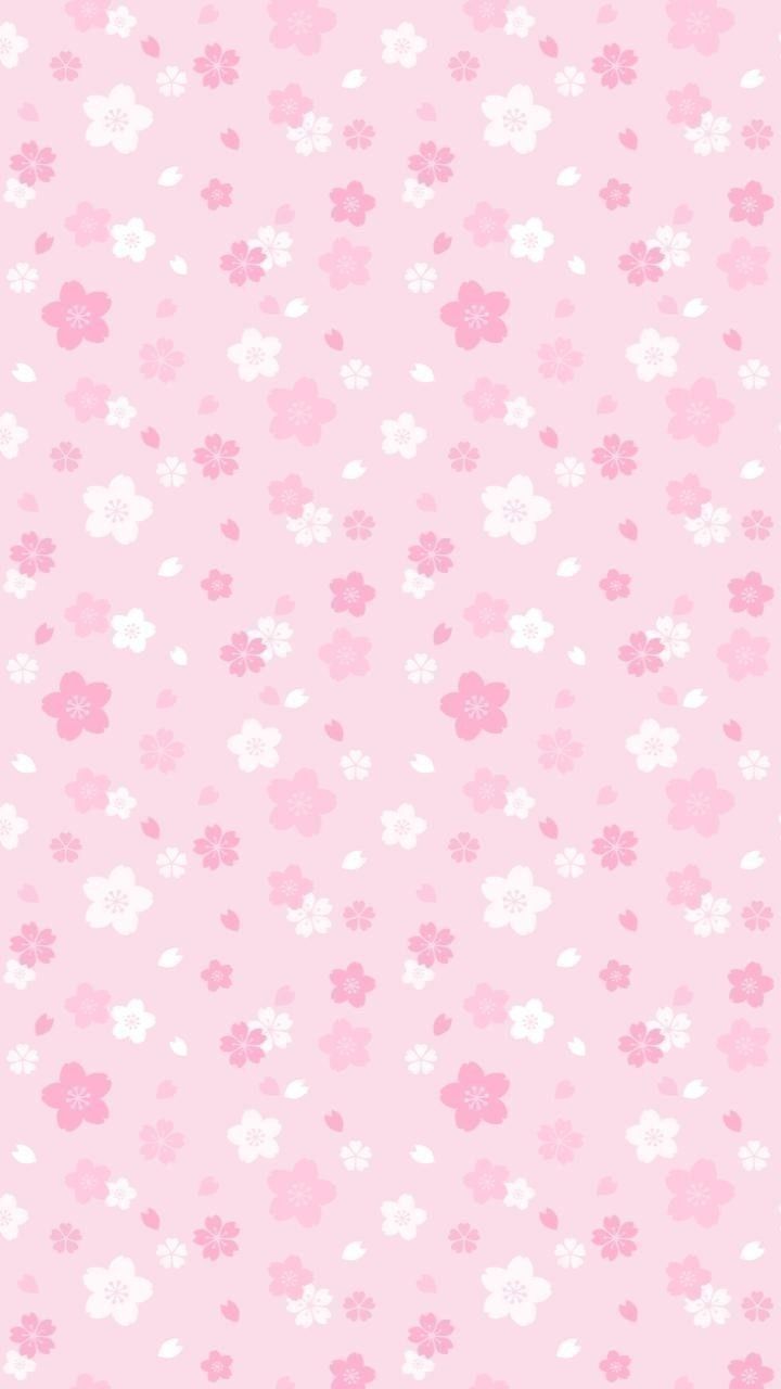 cute pink daisy background 0011