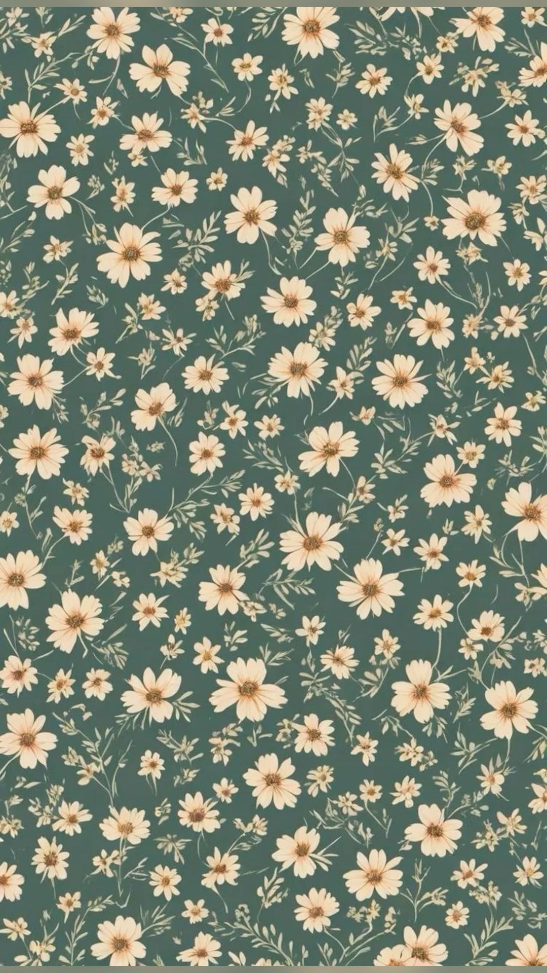 cute pink daisy background 0016