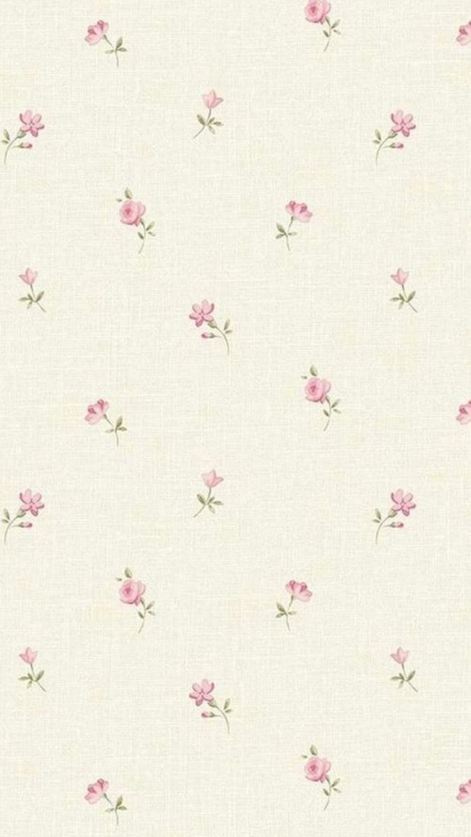 cute pink daisy background 0018