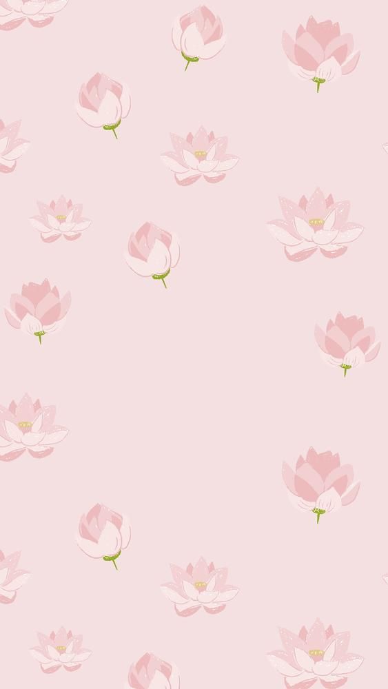 cute pink daisy background 0019