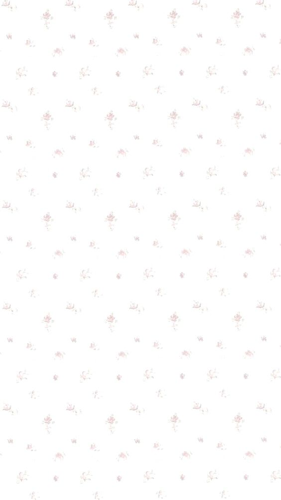 cute pink daisy background 0020