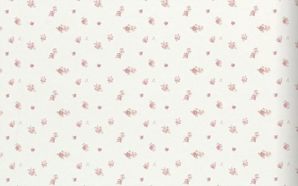 cute pink daisy background 0034