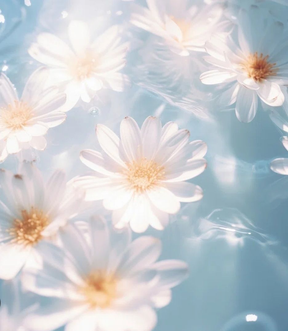 cute pink daisy background 0041