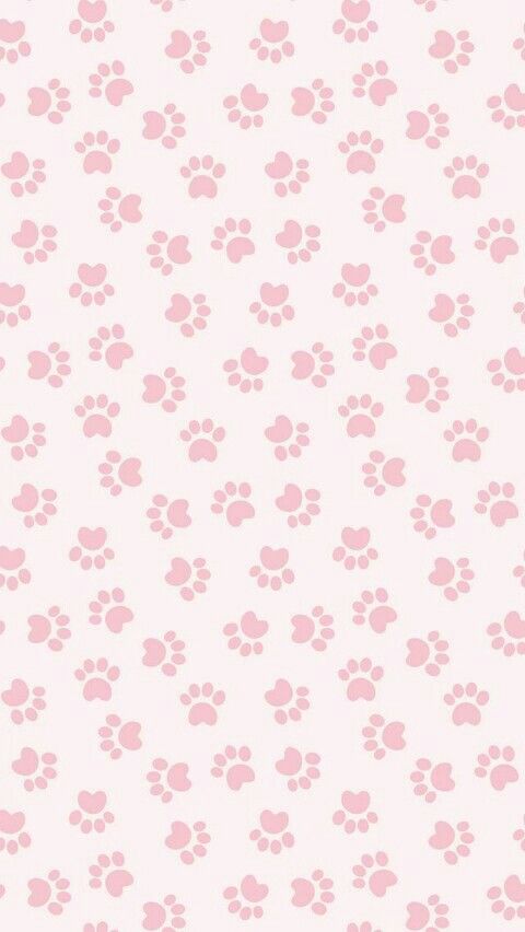 cute pink daisy background 0060