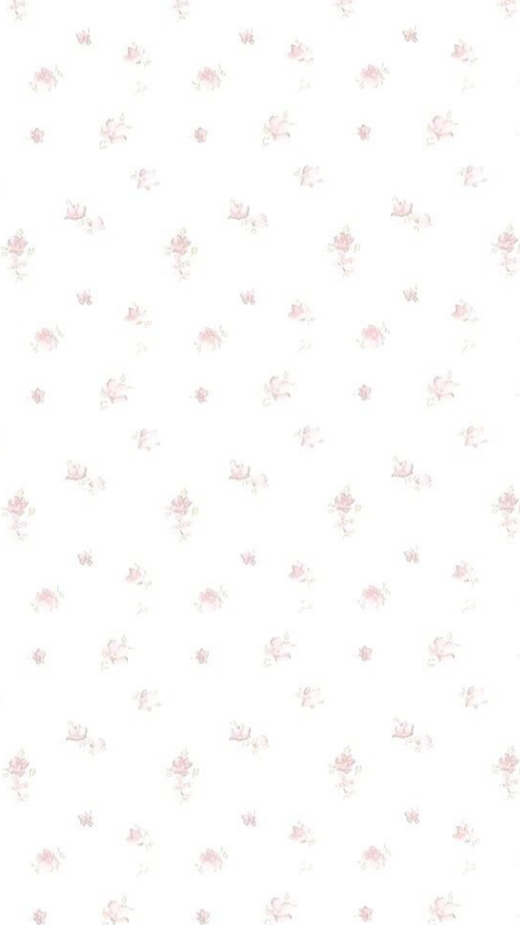 cute pink daisy background 0069