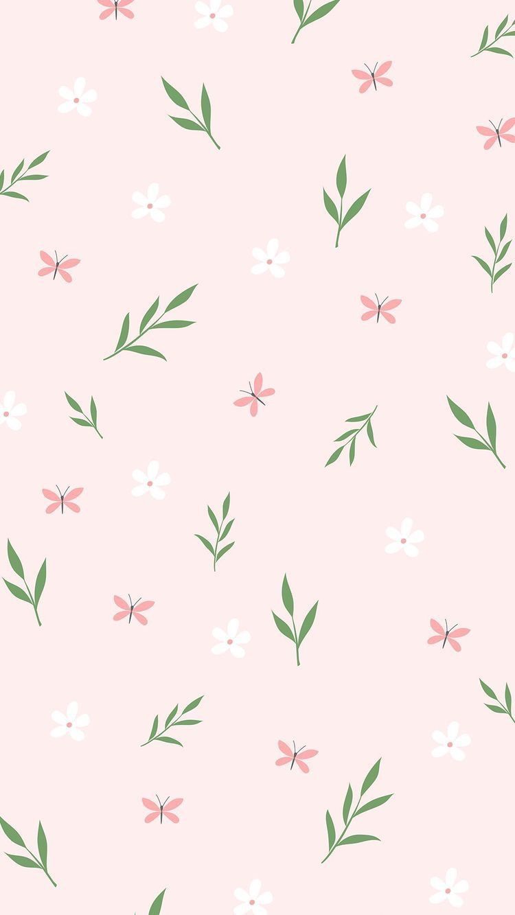 cute pink daisy background 0071