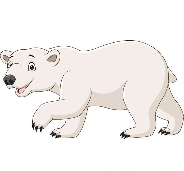 cute Polar Bear backgrounds 0093