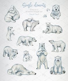 cute Polar Bear backgrounds 0098