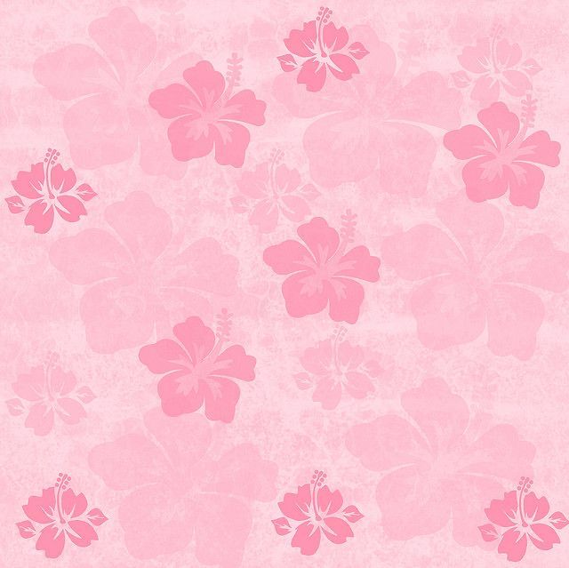 cute Preppy backgrounds 0051