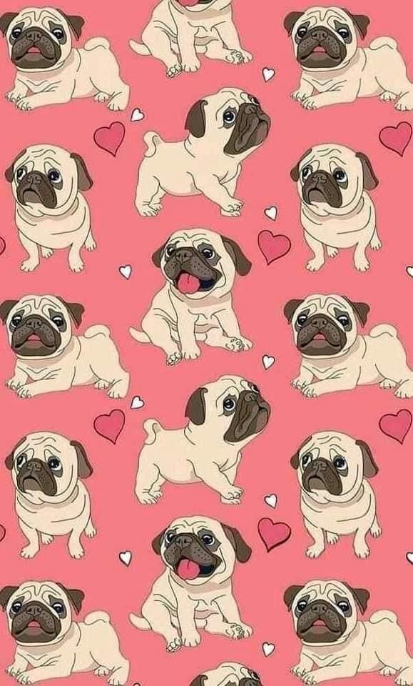 cute pug backgrounds 0012