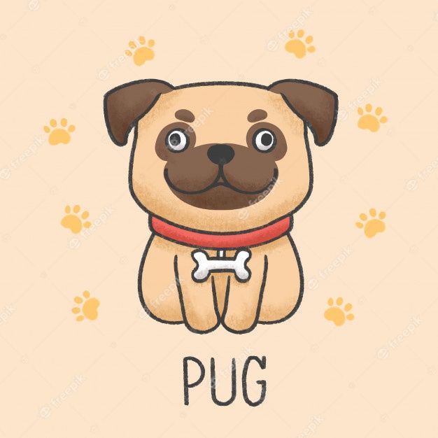 cute pug backgrounds 0014