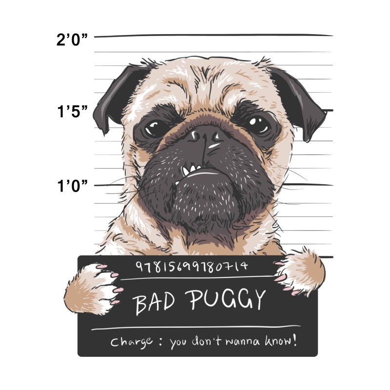 cute pug backgrounds 0020