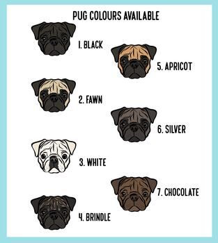 cute pug backgrounds 0027