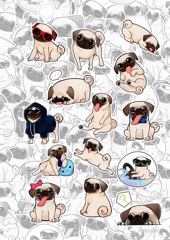 cute pug backgrounds 0030