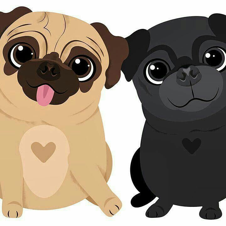 cute pug backgrounds 0032