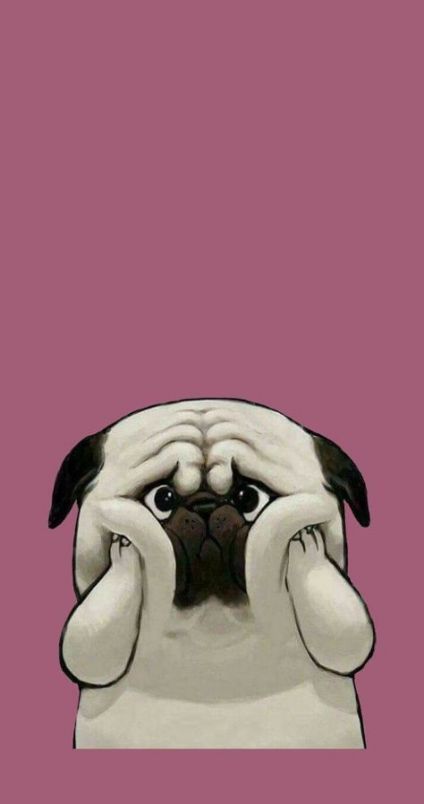 cute pug backgrounds 0034