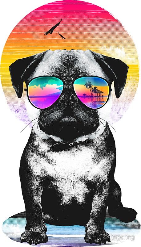 cute pug backgrounds 0041